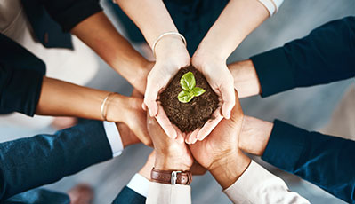 ɭ��������-׷�󿵽�,����һ������