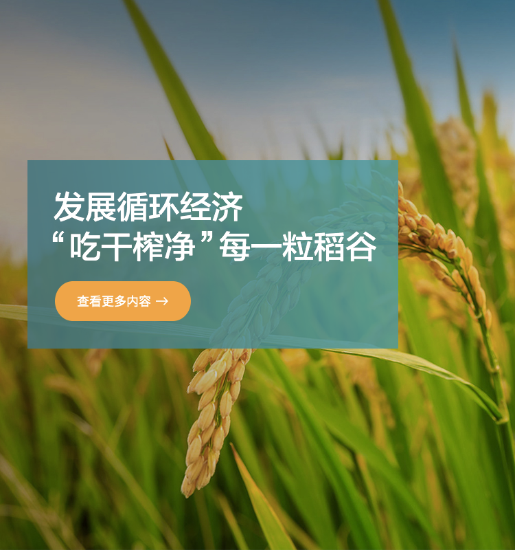 ɭ��������-׷�󿵽�,����һ������