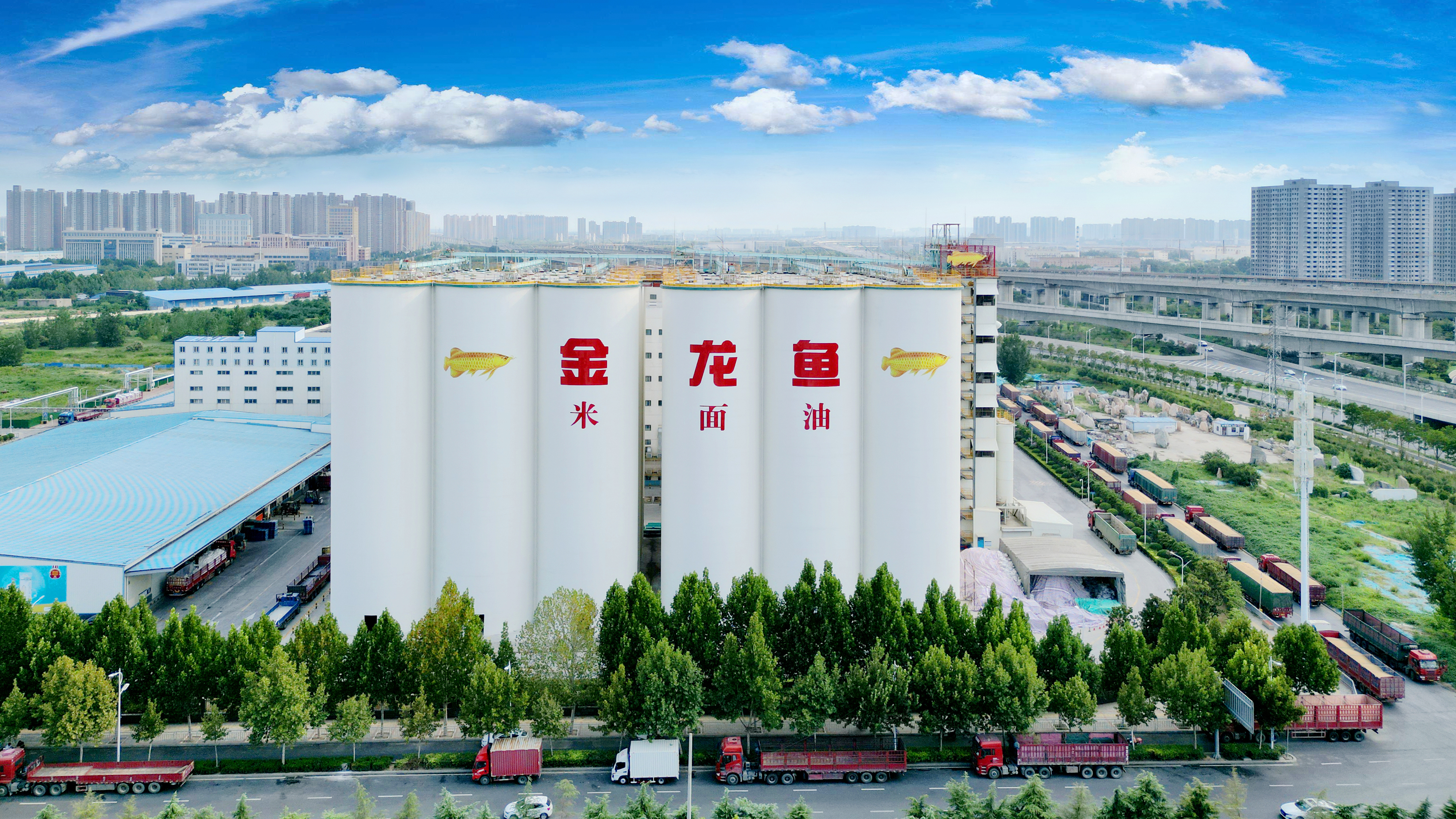 ɭ��������-׷�󿵽�,����һ������